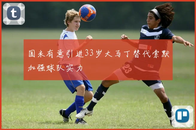 国米有意引进33岁大马丁替代索默加强球队实力