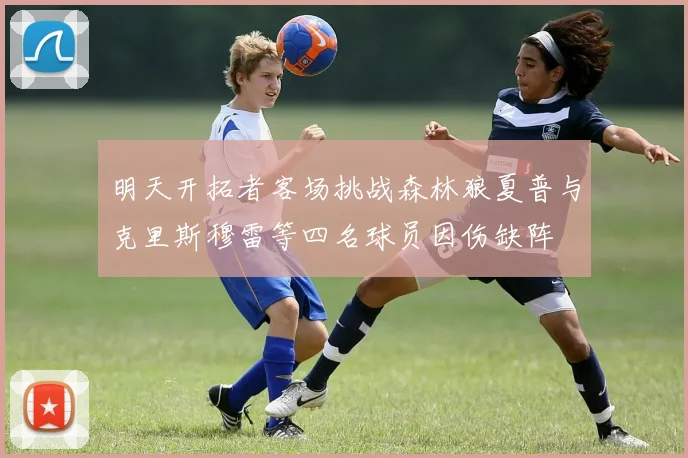 明天开拓者客场挑战森林狼夏普与克里斯穆雷等四名球员因伤缺阵